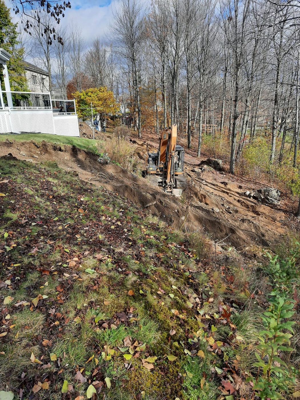 Excavatrice déblaye talus pentu boisé automne résidence luxe