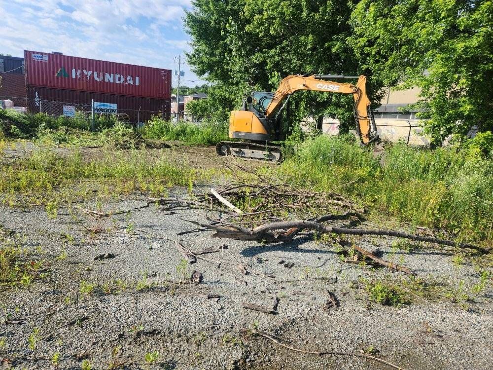 Excavatrice compacte débroussaillant terrain industriel en friche
