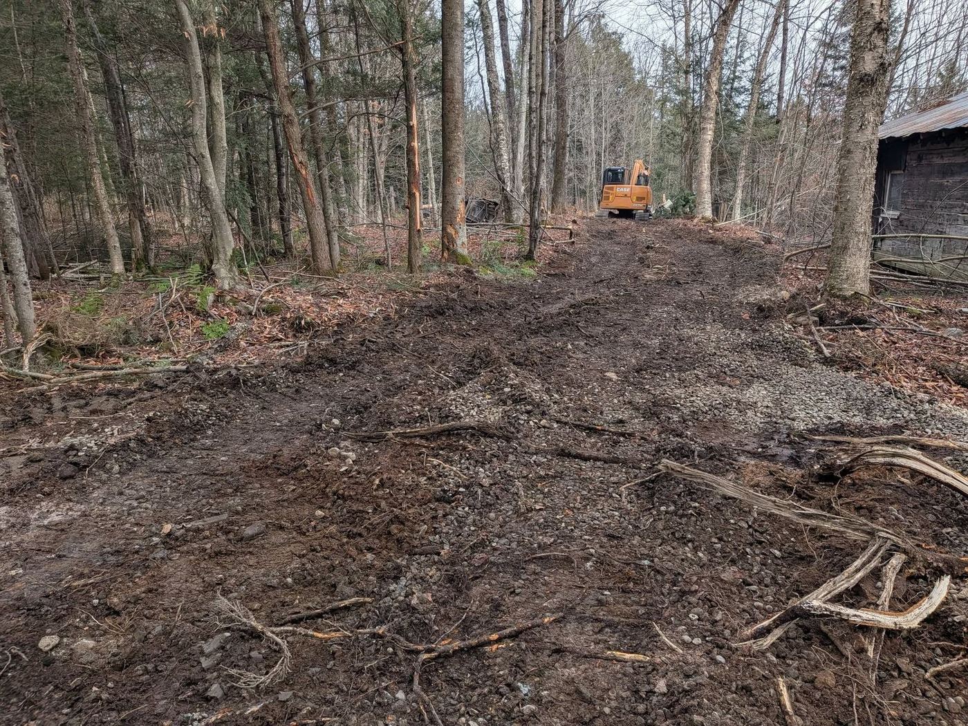Déboisement en forêt, excavatrice ouvre sentier entre les arbres