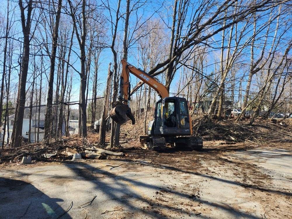 Déboisement avec excavatrice compacte, arbres abattus au sol