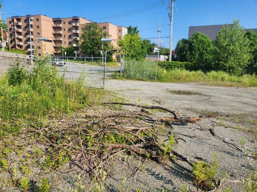 Déboisement et débroussaillage terrain commercial, végétation arrachée